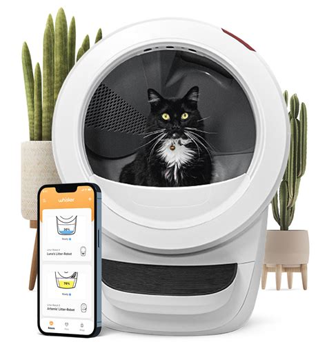 best electric litter box|highest rated automatic litter box.